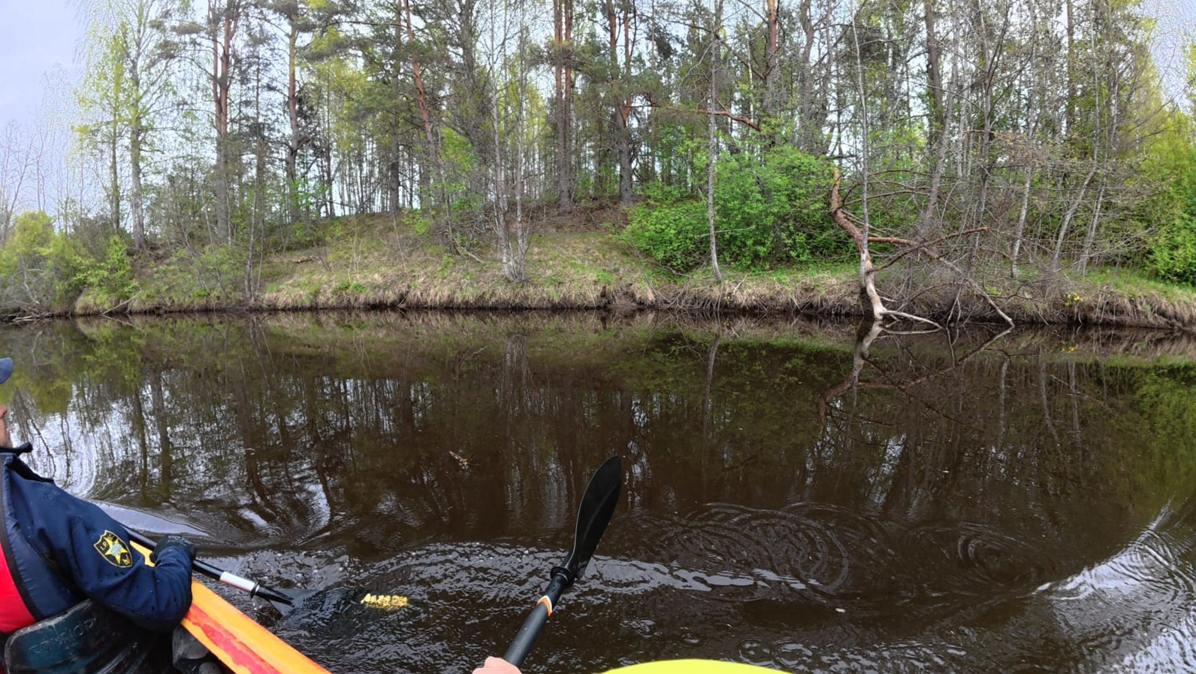 Rannapungerja River Kayak Tour – A Safe Water Adventure for Families and School Groups