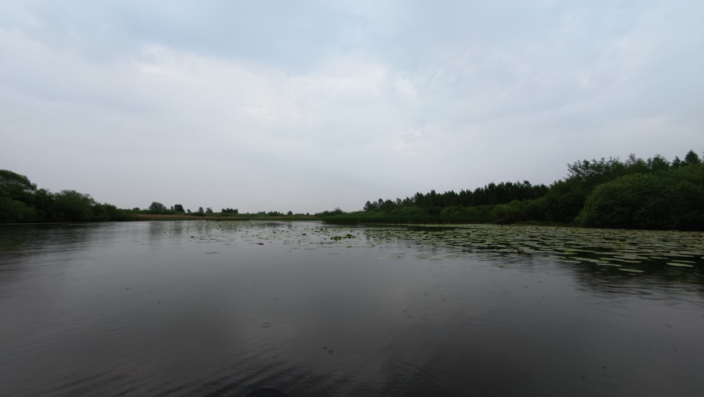 Emajõgi