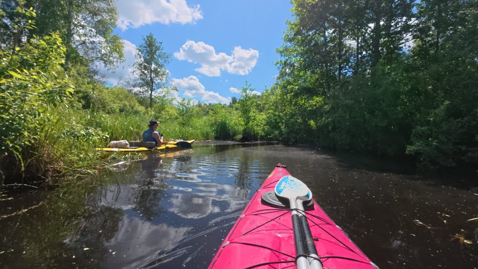 Beyond this culvert, only a wet ditch remains — the end of the paddling route