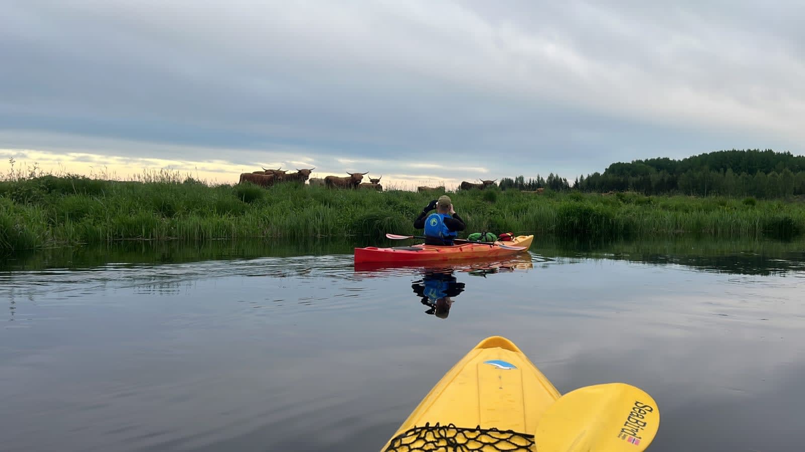 Pedja Jõgi — foto 5
