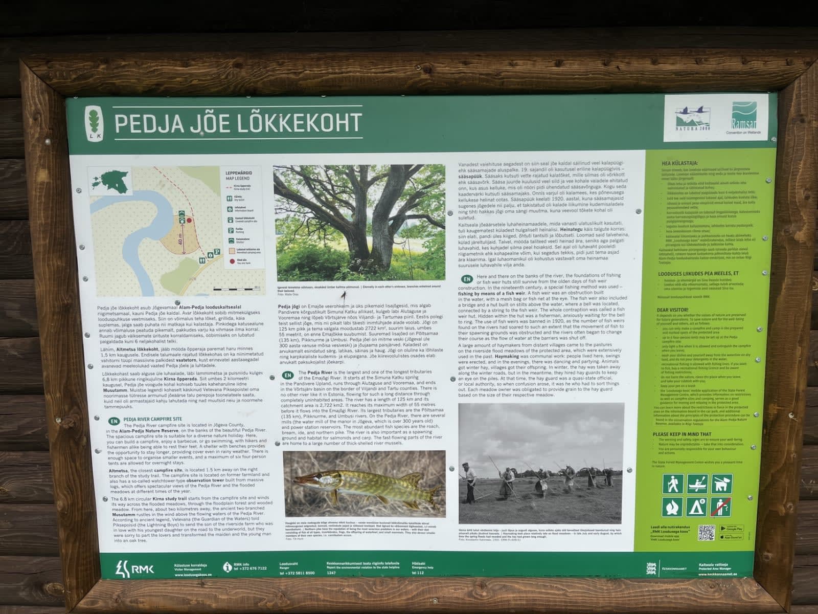Pedja Jõgi — foto 6