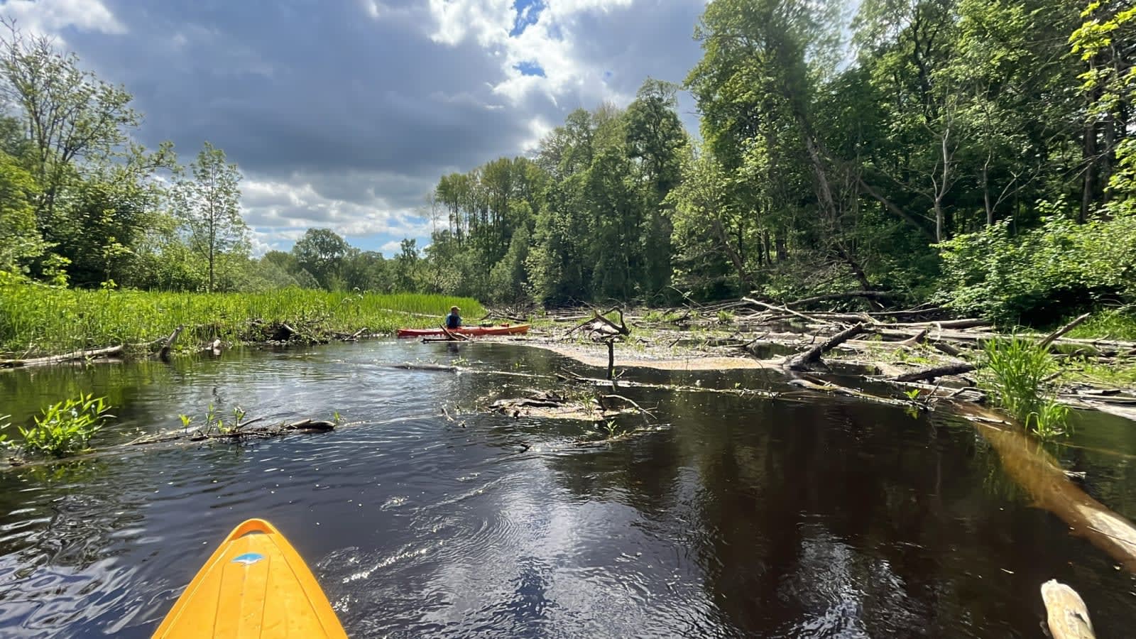 Pedja Jõgi — foto 8