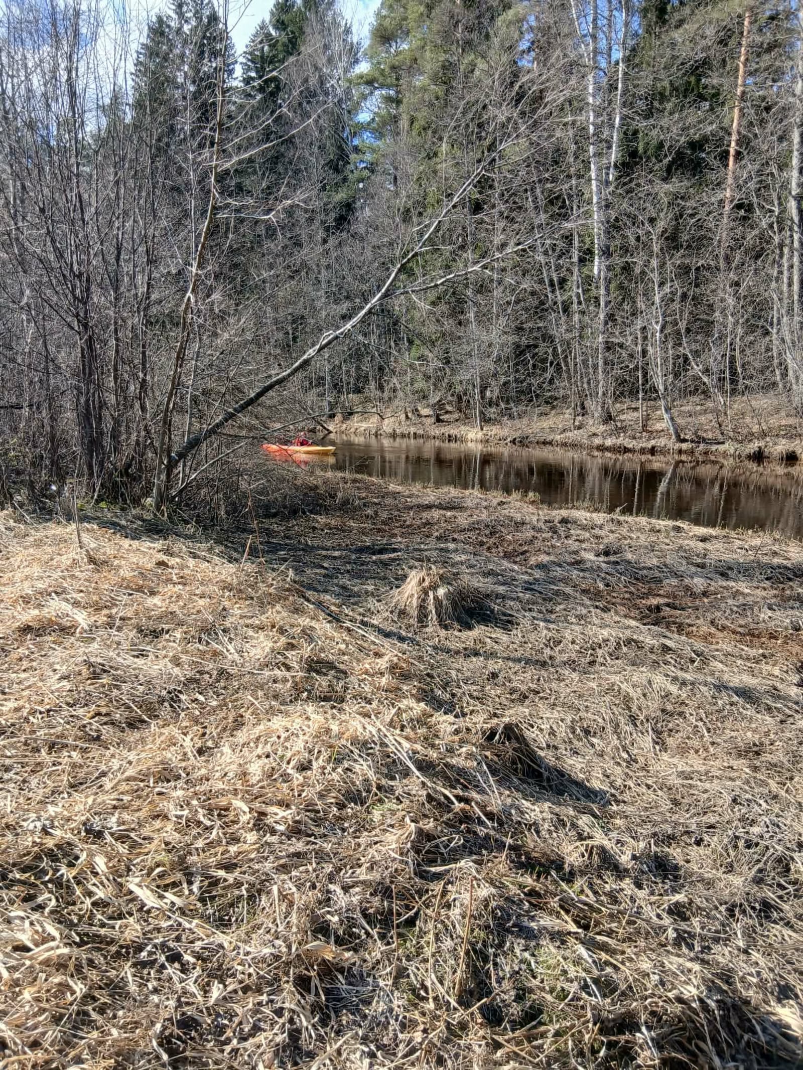 Avijõgi — foto 8
