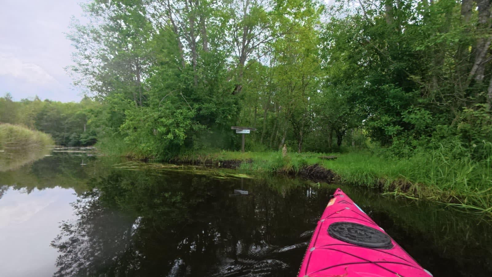 Tammemäe telkimiskoht kolme jõe ristis - Nava , Põltsamaa ja Vana-vorsti