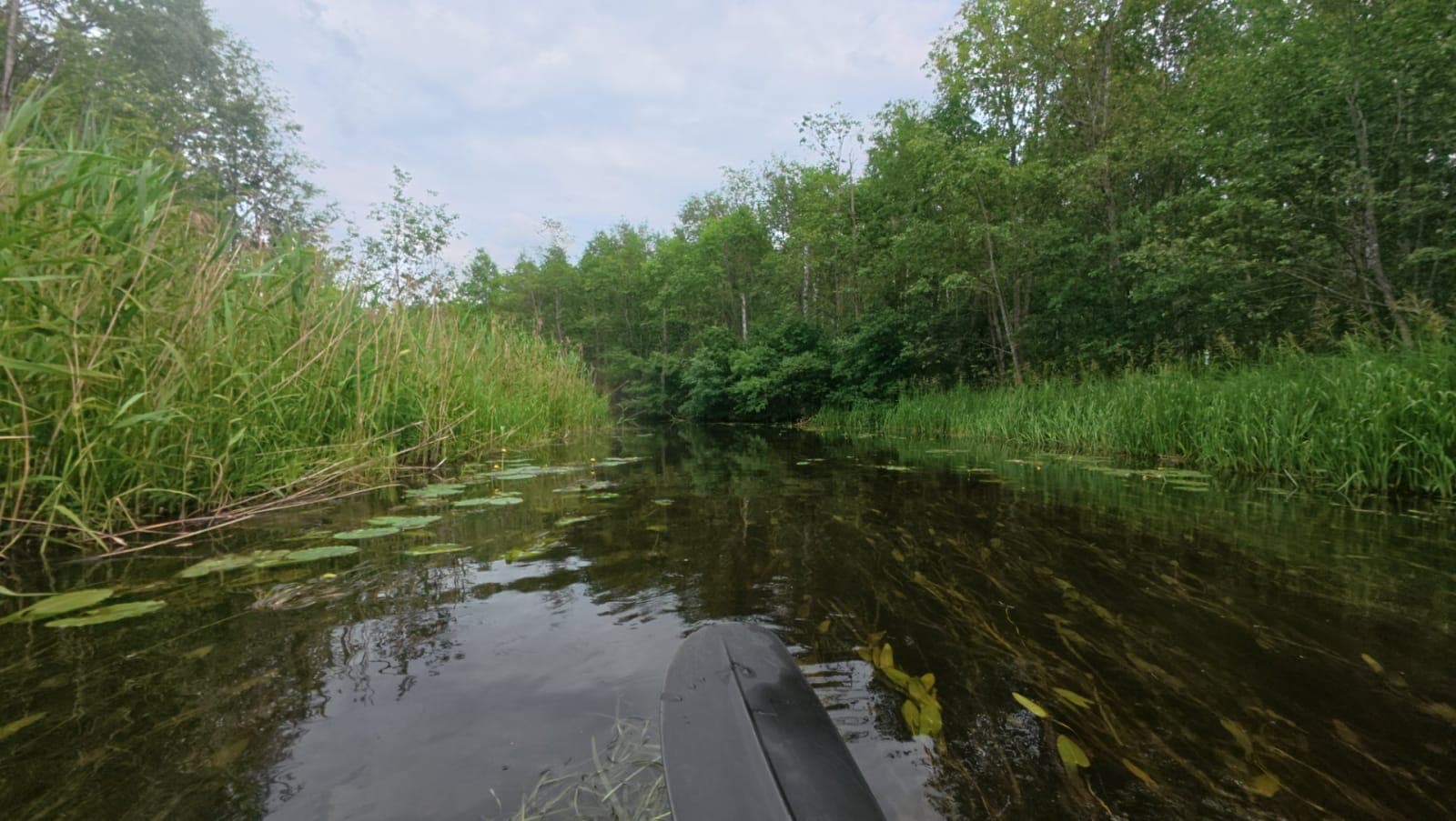 Nava jõgi