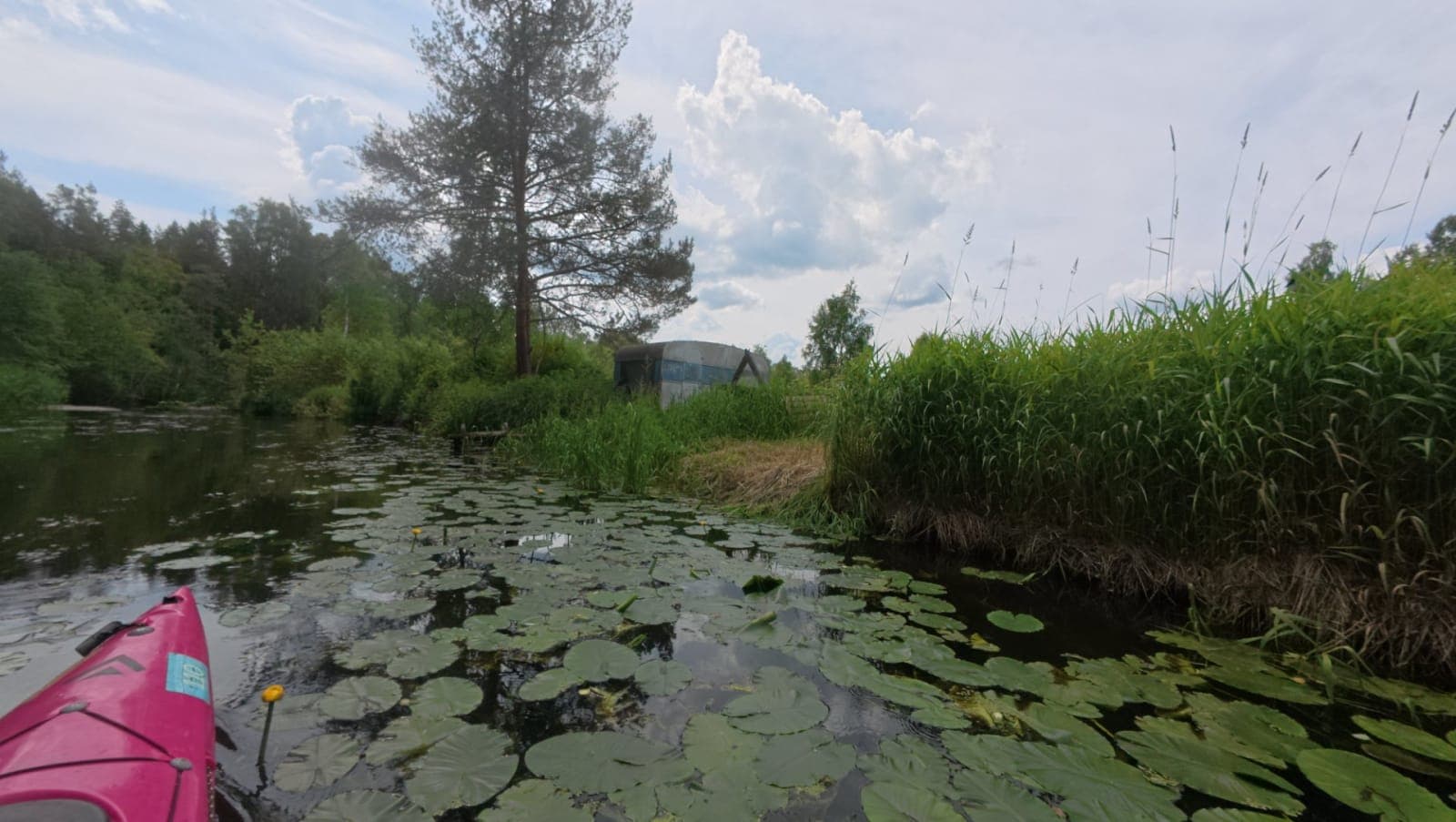 Otsimas Endla Järve — galeriipilt 1