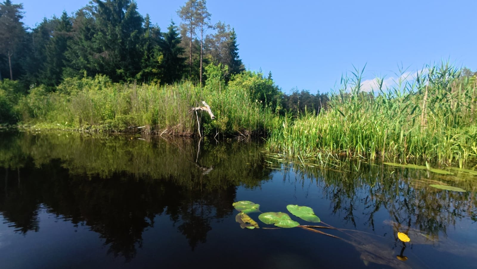Põltsamaa jõgi — foto 3