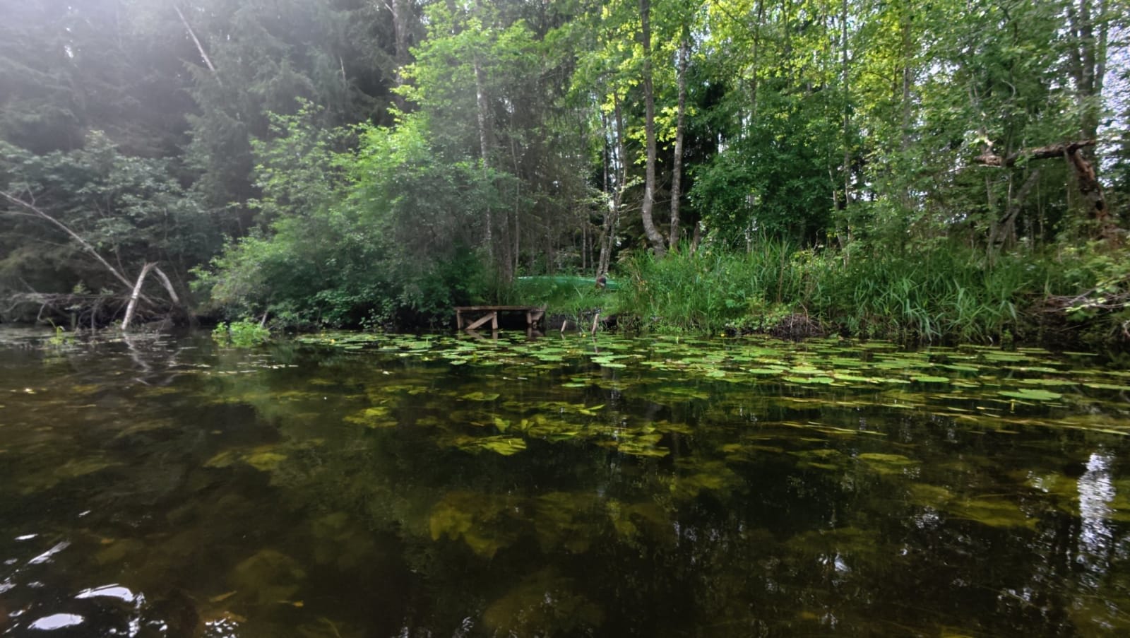 Põltsamaa jõgi — foto 2