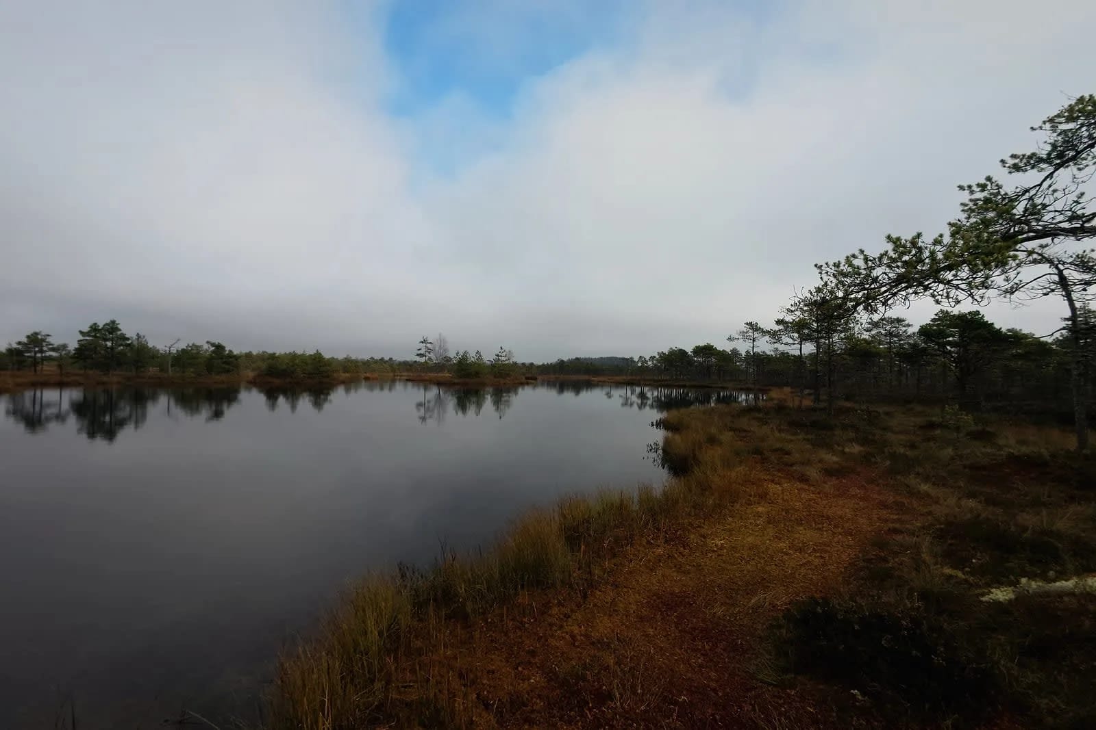 Kakerdaja Bog — photo 5