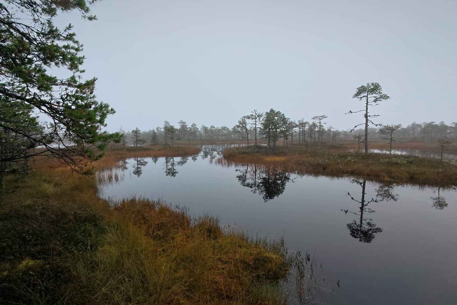 Kakerdaja Bog — photo 3