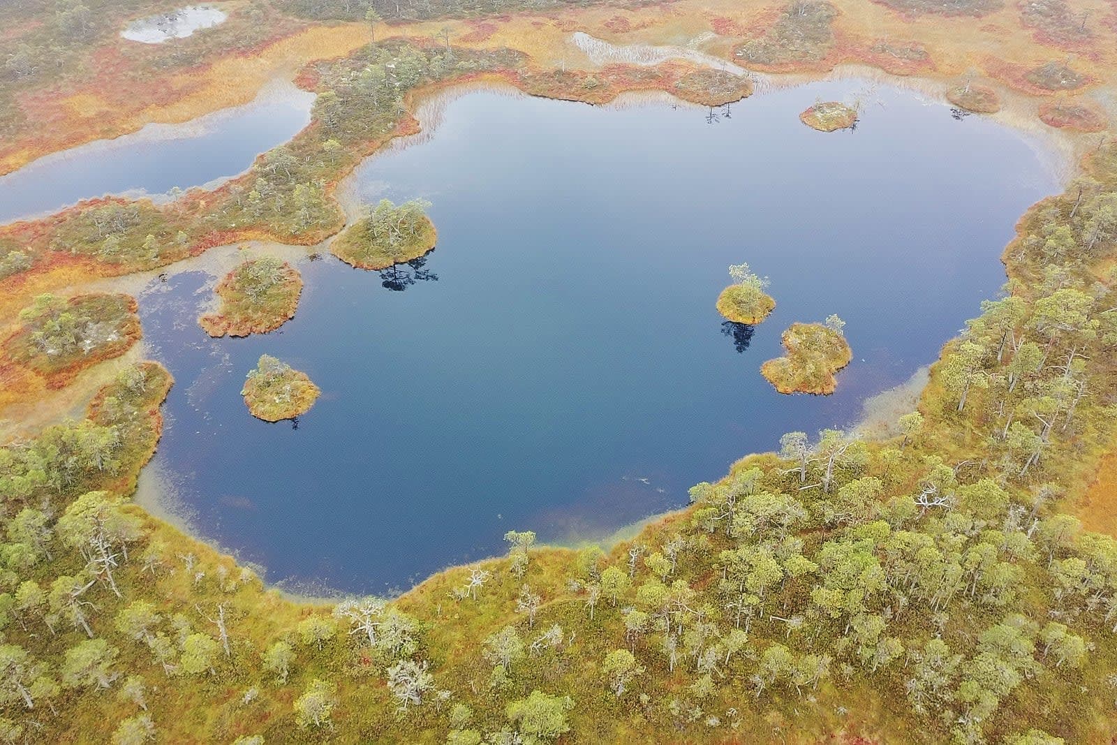 Kakerdaja Bog — photo 1