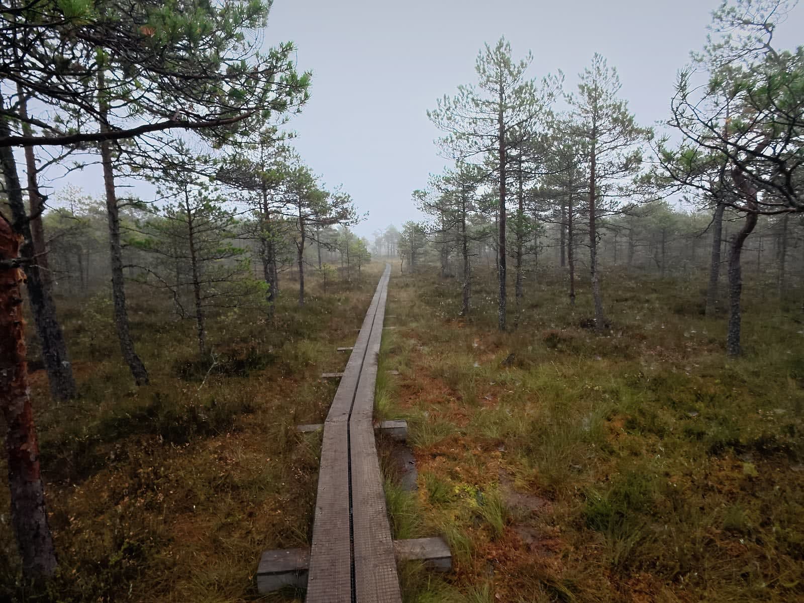 Kakerdaja Bog — photo 6