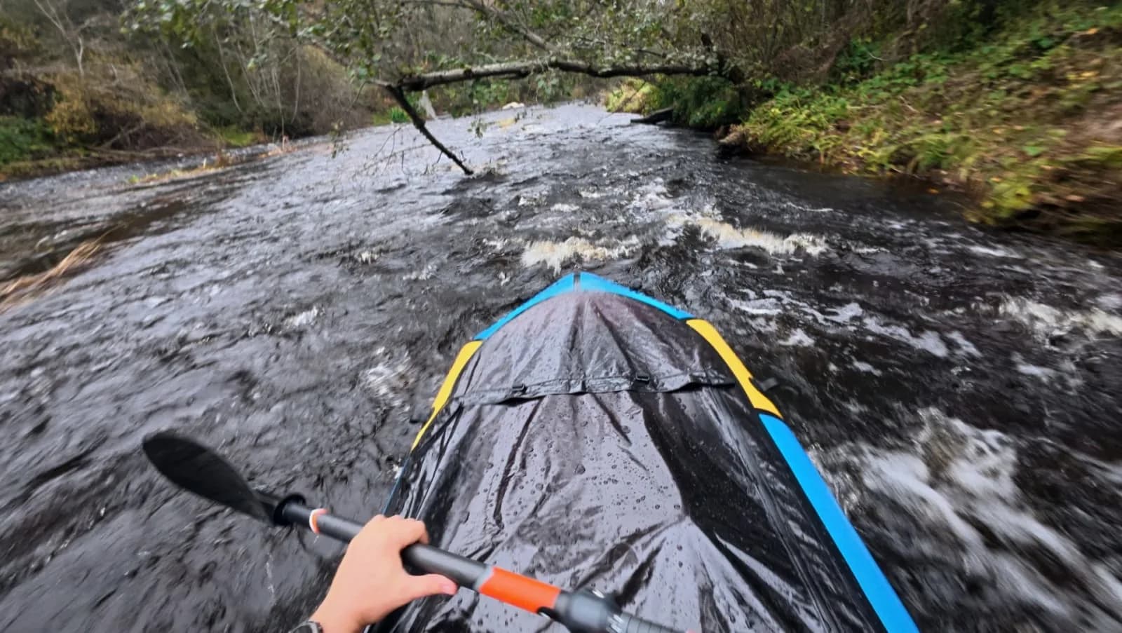 Pirita River Packraft Adventure – Rapids and Nature in the Heart of Tallinn — photo 6